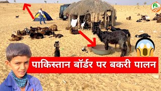 पाकिस्तान बॉर्डर पर बकरी पालन | See how Goat rearing is done in this Desert near pakistan border