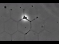 Axon Guidance on micropatterns