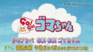 ゴマちゃんがキュ～キュ～言うだけの動画