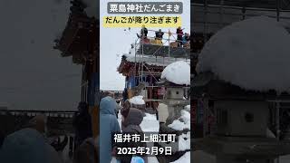 「粟嶋神社、だんごまき」無病息災願う。室町時代(約四百年前)、疫病がはやった際、神社に米を供えたところ治まり、そのお礼として米を団子にしてまいたのが始まりとの事。福井市 上細江町。2025年2月9日。