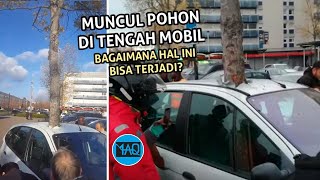 Inilah Beberapa Kejadian Tidak Masuk Akal yang Sempat Viral Di Internet! Begini Kisahnya!