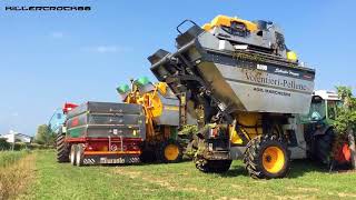 GRAPE HARVEST - Gregoire G2 + Volentieri Pellenc 8090 + 2 Fendt 211P