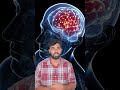 സത്യം എന്ത് myth about brain shorts