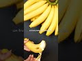 mangerez vous la banane après cette découverte banane