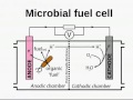 an introduction to biological photovoltaics