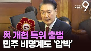 與 개헌특위 출범 \