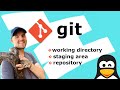 Git | working directory | staging area | repository. Differences.