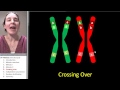 meiosis 5 crossing over