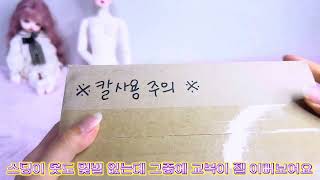 🩷BJD 리나슈슈 체리쉬미 다이나 개봉기🩷 구체관절인형 개봉기 구체관절인형 언박싱 리나슈슈 LILAchouchou Unboxing BJD Unboxing