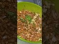 #shorts Onion Samosa Ramzan Special Recipe #viral #shortsfeed #shortvideo #youtubeshorts #short #yt