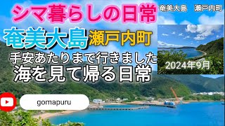 【奄美大島】久しぶりの瀬戸内町、手安あたり　シマに暮らす私の日常　※多忙のためコメントはオフ　🤗いつもありがとう