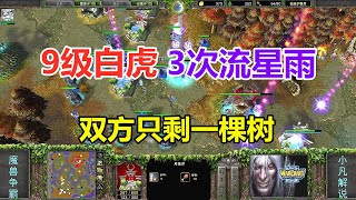 9级白虎VS6级大恶魔，3次流星雨，双方只剩一棵树！魔兽争霸3