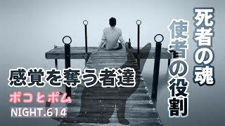 NIGHT.614　死者の魂　使者の役割　感覚を奪う者達　ポコとポム