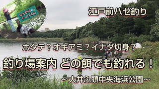 東京下町 江戸前ハゼ釣り9月どの餌でも釣れる 大井ふ頭中央海浜公園