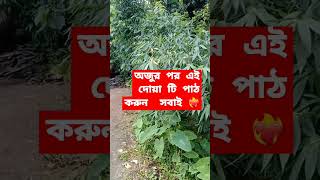 অজুর পর এই দোয়া টি পাঠ করুন  সবাই ❤️‍🔥#islamicshorts #viralvideo #youtube