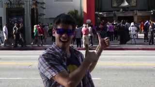 2012 Libra Internship
