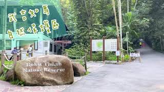 🇸🇬新加坡工作｜景點｜來武吉知馬爬山，新加坡最高點”Bukit Timah Summit” • 2020/06/09🇸🇬