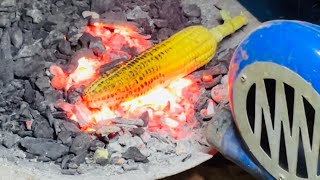 Roasted corn in mohammadpur at only 30 tk