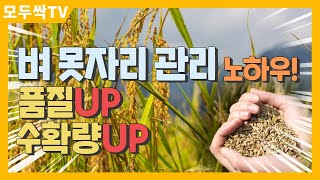 EP 270. 벼 못자리 설치 전 관리 방법, 모두싹으로 종자소독해서 싹틔우기 등 주요 농작업 교육을 통해 품질과 수확량을 올려보세요!