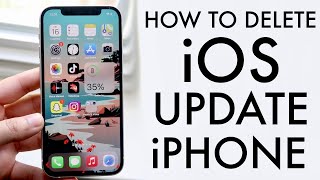 How To Delete iOS Updates On ANY iPhone! (2021)