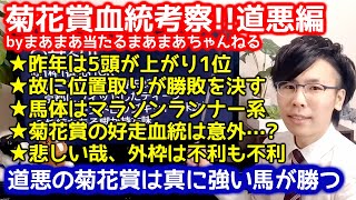 【菊花賞血統考察】菊花賞を3つの視点から徹底解剖！菊花賞予想【雨・道悪馬場】