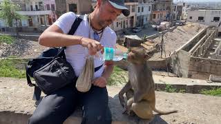 Small act of kindness is louder than many words ЁЯШБ