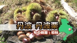 ひょうご五国のめぐみ～旬の食材を求めて～【丹波・丹波栗編】