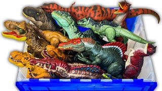 NEW Jurassic World GIGANOTOSAURUS, T-REX, SPINOSAURUS, CARNOTAURUS Dino Collection!