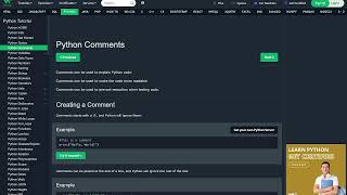 Python Comments - Part 4