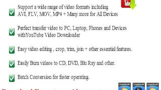 free flv to mpeg4 video converter