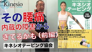 キネシオテーピング協会　内蔵の障害からくる腰痛