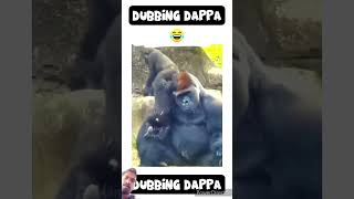 #funny #comedy #monkey #gorilla #animals #pets #funnyanimals #dubbingdappa #shortsfeed #animalvideos