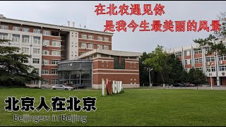 北京农学院校园内散步随拍 在北农遇见你 是我今生最美丽的风景  Beijing University Of Agriculture