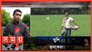 কুষ্টিয়ায় সেচ প্রকল্পের কারণে কৃষিতে আমূল পরিবর্তন! | Irrigation Project | Kushtia News | Somoy TV