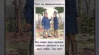 Найдите на картинке мужчину и 2 собак