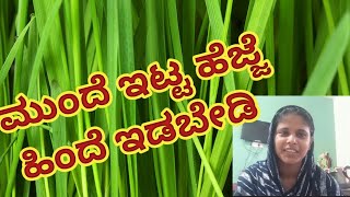 Vlog-19 ಮುಂದೆ ಇಟ್ಟ ಹೆಜ್ಜೆ ಹಿಂದೆ ಇಡಬೇಡಿ..❤️☑️ಯಾವಾಗಲೂ ಖುಷಿಯಾಗಿರಿ🥰⁉️