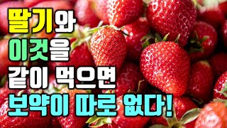 딸기와 이것을 같이 먹으면 보약이 따로 없다!(딸기와 가장 궁합이 좋은 음식들)