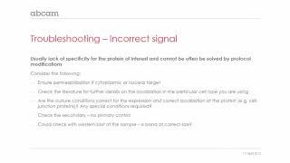 Immunocytochemistry (ICC) troubleshooting