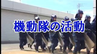 Vol.37　機動隊の活動《香川県警ヨイチ・ムービー》