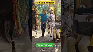 Seni Kuda Kencak Asli Probolinggo || Sinar Budaya.  #kudakencak #sinarbudaya #shorts