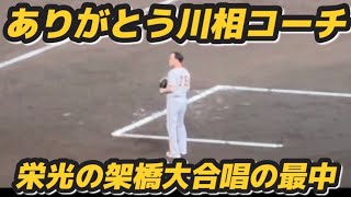 ３塁の川相コーチヘルメットを脱ぎ我々と慎太郎を想う　阪神優勝試合最終回