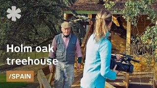 Vernacular treehouse built on holm oak, leaves it intact