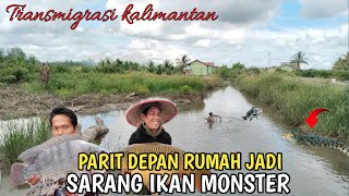 🛑MENJALA UDANG DI DEPAN RUMAH, TERNYATA PARIT JADI SARANG IKAN MONSTER💥TRANSMIGRASI KALIMANTAN