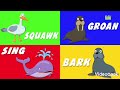 Animal sounds song kids play time