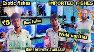 Cheaper than Kolathur | Best Fish Aquarium in chennai @ low cost | biggest aquarium in chennai