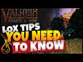 Valheim Hearth And Home Lox Tips And Tricks