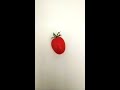 (PASSO A PASSO) COMO PLANTAR TOMATE EM 1 MINUTO!!! Caso não tenha farinho de osso, sem problemas.