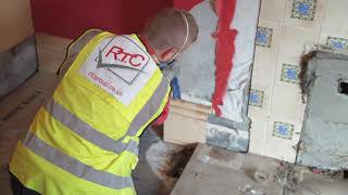 Introduction to Dry Rot