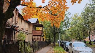 Golden Autumn in Moscow: a walk through the territory of the Timiryazev Academy