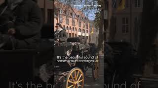 Bruges Belgium: What's price for a horse drawn carriage tour 🐴 in Brugge?